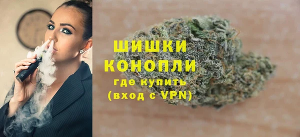 прущие грибы Бердск