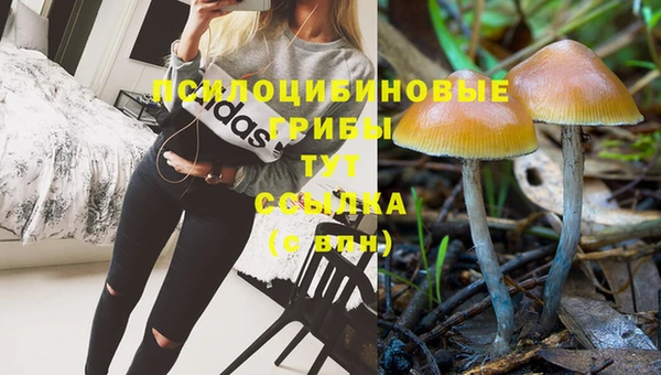 марки lsd Ачинск