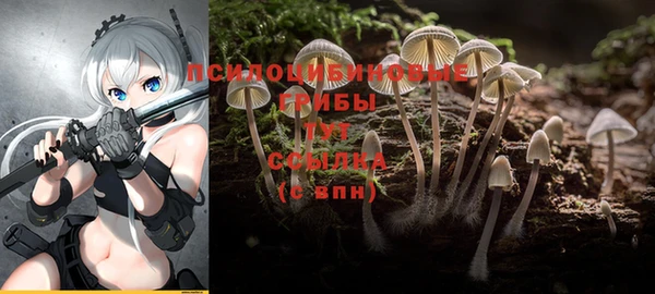 ГАЛЛЮЦИНОГЕННЫЕ ГРИБЫ Богородицк