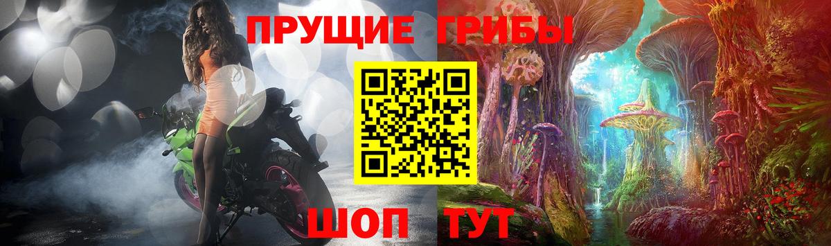 Псилоцибиновые грибы прущие грибы Бор